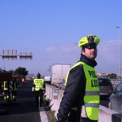 Incidente sulla 16 bis: un camion carico di pasta esce fuori strada