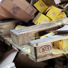 Incidente sulla 16 bis: un camion carico di pasta esce fuori strada