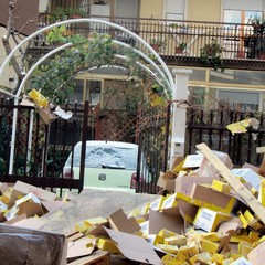 Incidente sulla 16 bis: un camion carico di pasta esce fuori strada