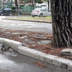 Trani, strade e marciapiedi dissestati da anni