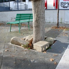 Trani, strade e marciapiedi dissestati da anni