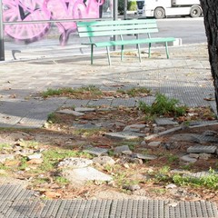 Trani, strade e marciapiedi dissestati da anni