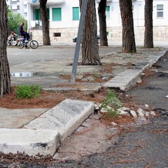 Trani, strade e marciapiedi dissestati da anni