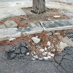 Trani, strade e marciapiedi dissestati da anni