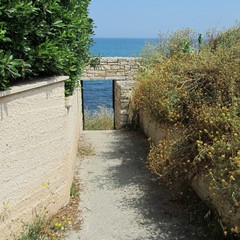 Accessi sul litorale est, a piedi dalle Matinelle alle conche
