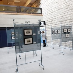 Le Figlie del Divino Zelo di Trani si raccontano con le foto