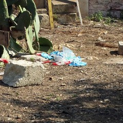 Il corpo di De Girolamo ritrovato nelle campagne di Bisceglie