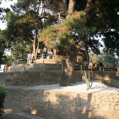 Inaugurazione del parco giochi nella villa comunale di Trani