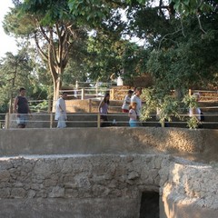 Inaugurazione del parco giochi nella villa comunale di Trani