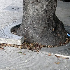 Degrado in piazza della Repubblica