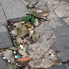 Degrado in piazza della Repubblica