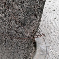 Degrado in piazza della Repubblica