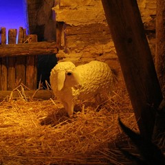 Presepe di Piazza della Libertà