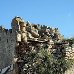 Masseria San Tommaso a Trani