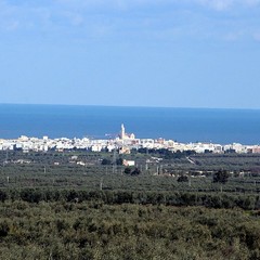 Masseria San Tommaso a Trani