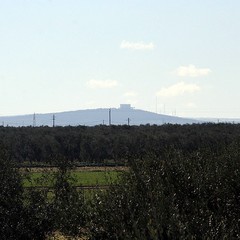 Masseria San Tommaso a Trani