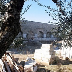 Masseria San Tommaso a Trani