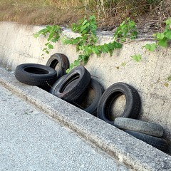Rifiuti e pneumatici abbandonati per strada