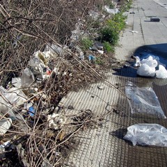 Mercato di Trani, gli ambulanti sporcano
