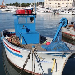 La coopertiva di pescatori San Nicola prepara la sagra della seppia