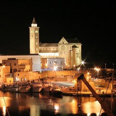 Festeggiamenti per San Nicola Pellegrino - 2010