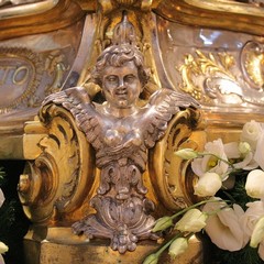 Festeggiamenti per San Nicola Pellegrino - 2010