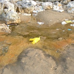 Degrado e rifiuti alla seconda spiaggia di Trani