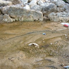 Degrado e rifiuti alla seconda spiaggia di Trani