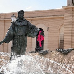Trani, "Fiocchi rosa per la città"