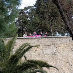 Trani, "Fiocchi rosa per la città"