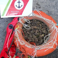 sequestro capitaneria 1