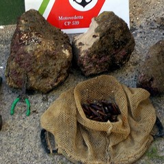 sequestro capitaneria 3