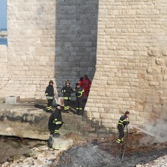 Trani, donna precipita dal muraglione del Castello Svevo