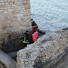 Trani, donna precipita dal muraglione del Castello Svevo