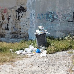 Operazione spiagge pulite a Trani