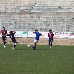 Fortis Trani - Francavilla sul Sinni 0-0