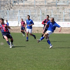 Fortis Trani - Francavilla sul Sinni 0-0