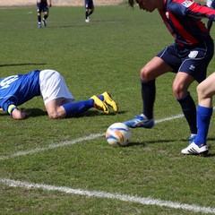 Fortis Trani - Francavilla sul Sinni 0-0