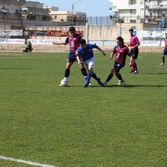 Fortis Trani - Francavilla sul Sinni 0-0