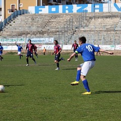 Fortis Trani - Francavilla sul Sinni 0-0