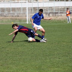 Fortis Trani - Francavilla sul Sinni 0-0