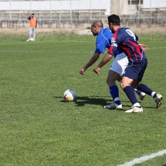 Fortis Trani - Francavilla sul Sinni 0-0