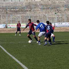 Fortis Trani - Francavilla sul Sinni 0-0