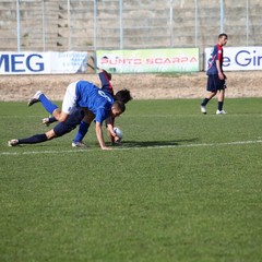 Fortis Trani - Francavilla sul Sinni 0-0