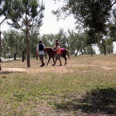 Trani, parco Santa Geffa