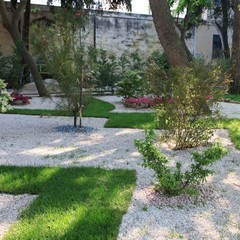 Trani, villa comunale in fiore