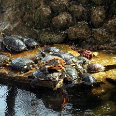 L'unità d'Italia in villa