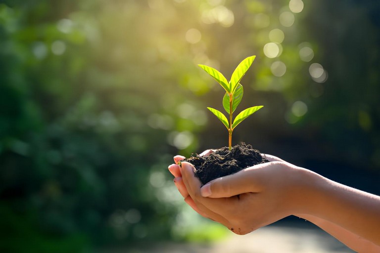 Un albero per Vittoria Acquaviva