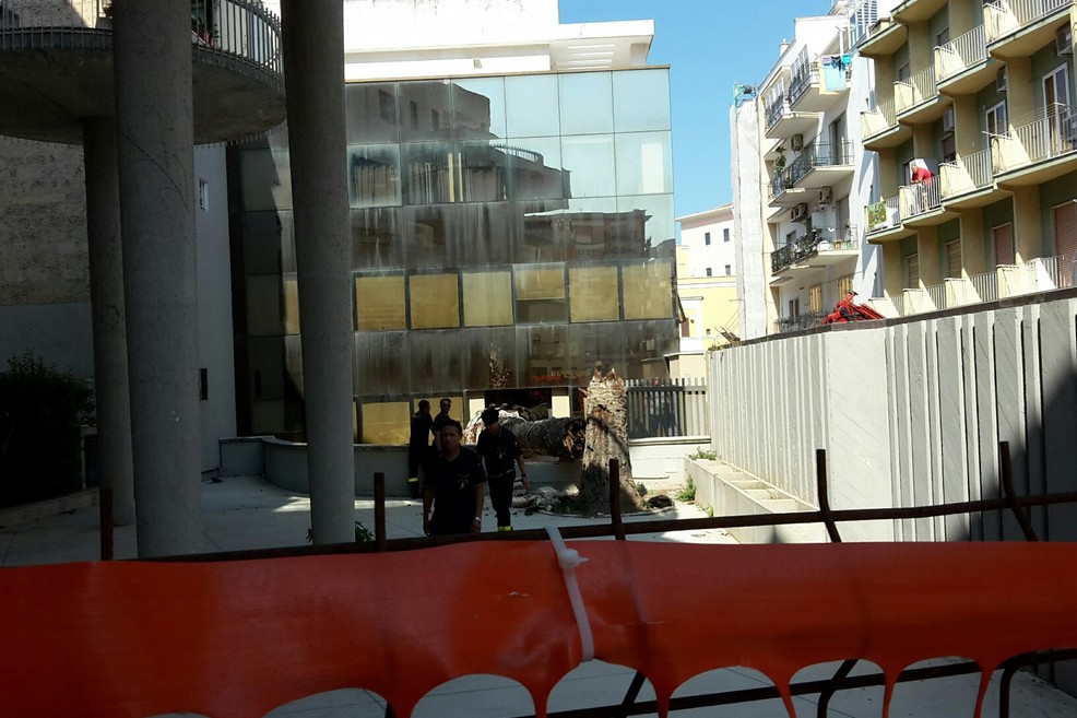 palma Palazzo Amet - Unep di via Montegrappa