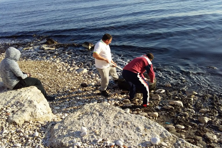Amici del mare
